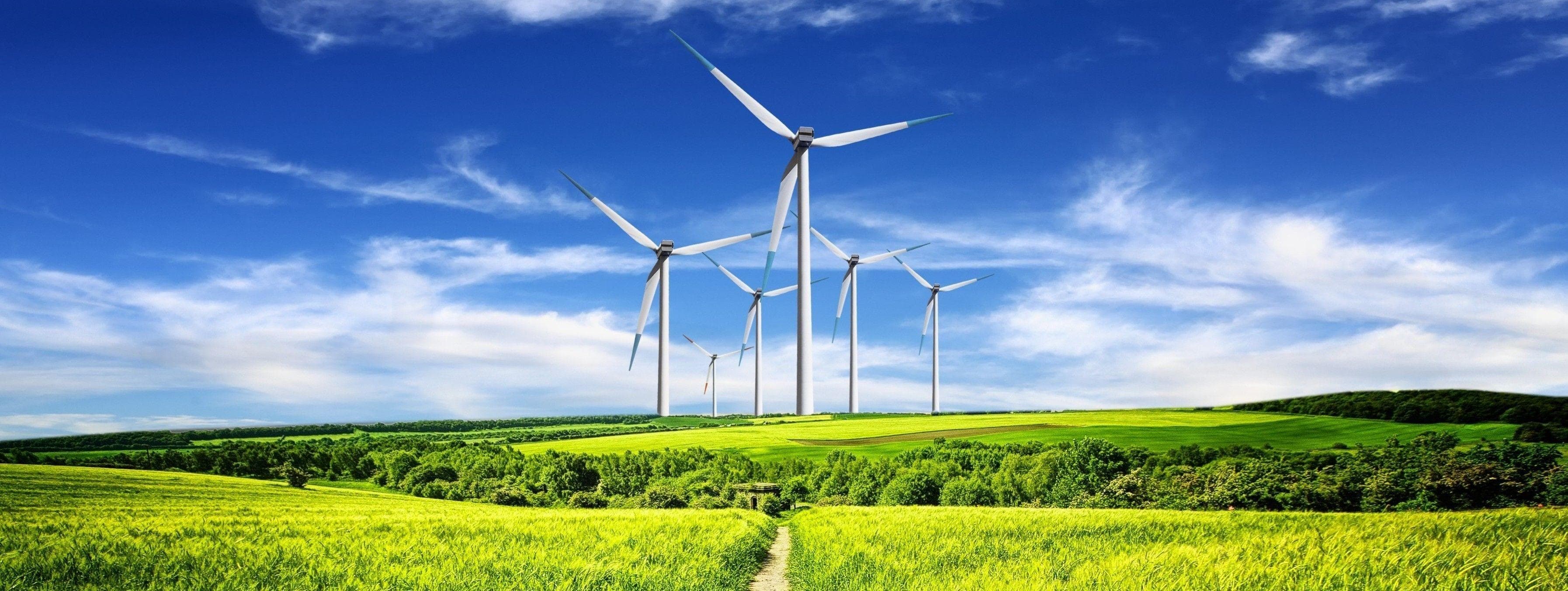 Village Solar Grid Inaugurated in Nizamabad