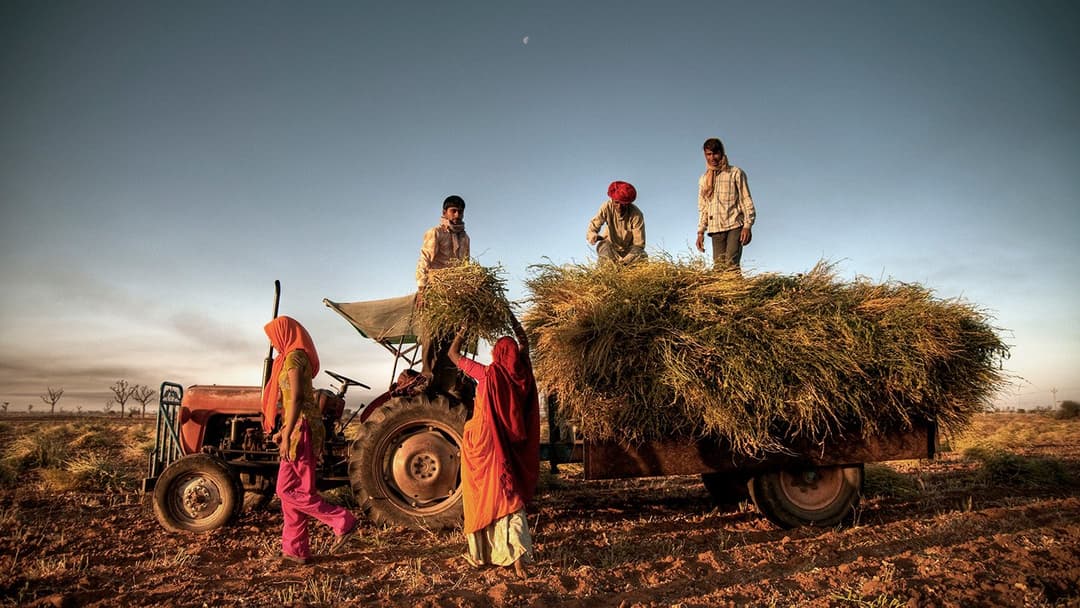 Rural Employment
