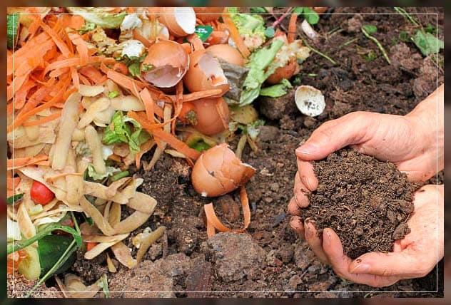 Agri-Waste Management